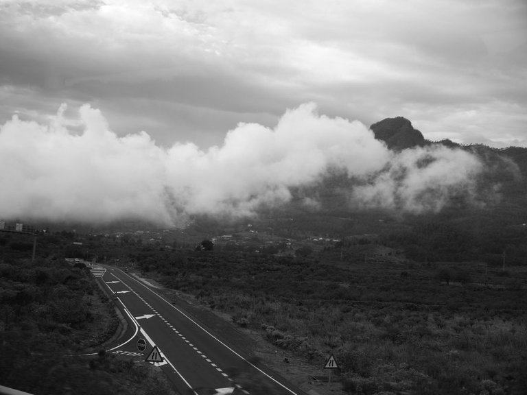 35596381493 - why did the cloud cross the road to rain on the.jpg