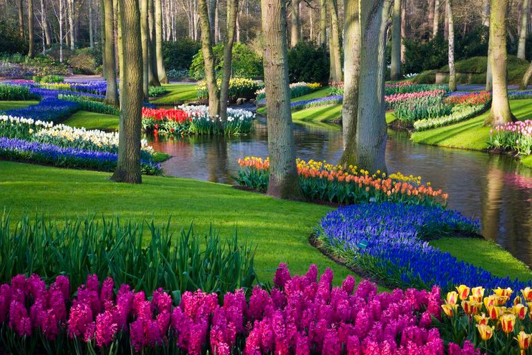 pond-and-spring-flowering-blubs-keukenhof-gardens-91271789-592b48c15f9b585950e42c47.jpg