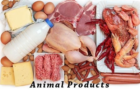animal_products.jpg