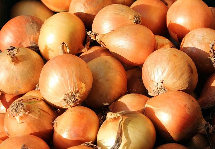 onion-3127137__480.jpg