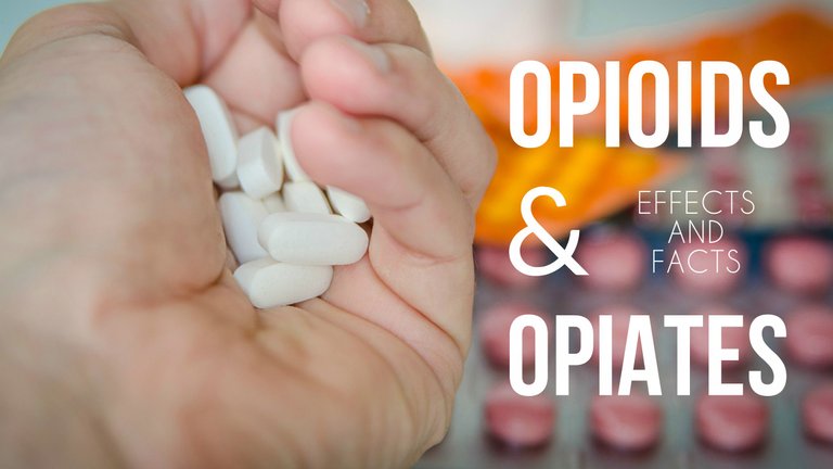 Facts-and-effects-opioids-opiates.jpg