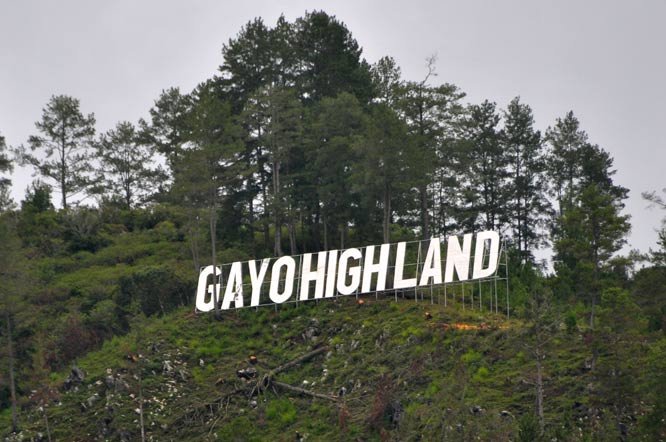 Gayohigland1.jpg