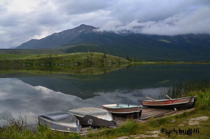 jasper national park11.jpg