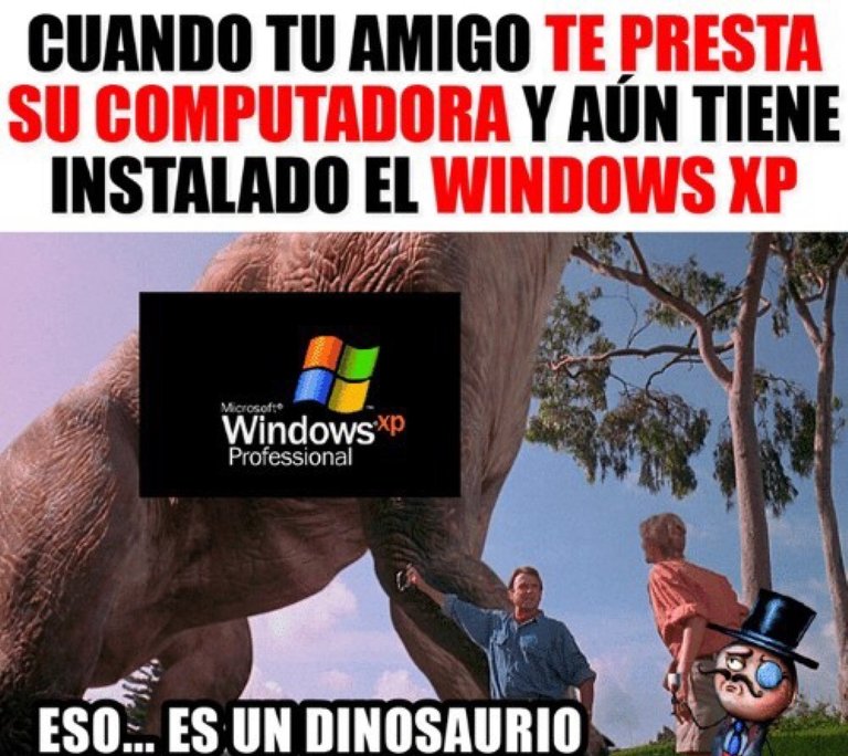 windows.jpeg