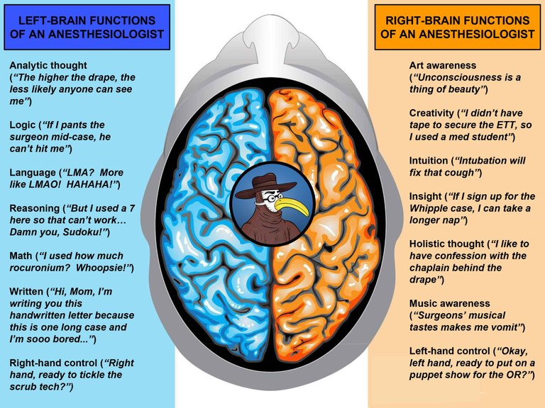 Hemispheres-of-an-Anesthesiologist.jpg