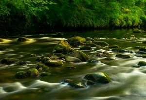 River Dart 2 (low res).jpg