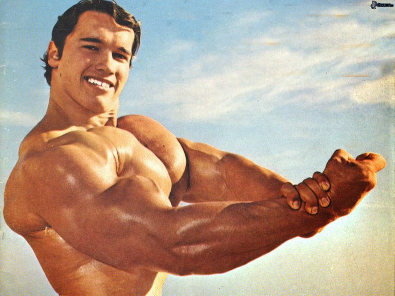 arnold schwarzenegger, hombre musculoso 162435.jpg