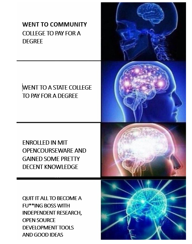 The Brain Progression.PNG