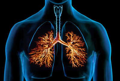 webmd_composite_image_of_bronchitis.jpg