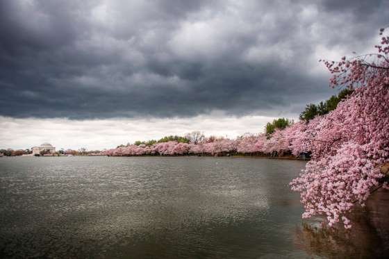 Tidal Basin, Washington, DC, AS.jpg