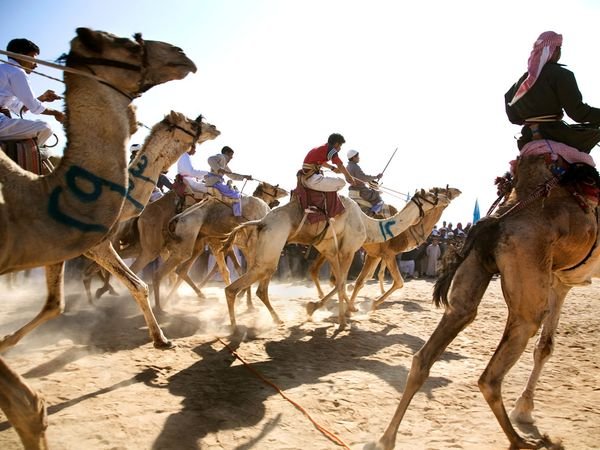 camel race.jpg