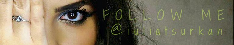 008@iuliatsurkan005bannerFOLLOW.jpg