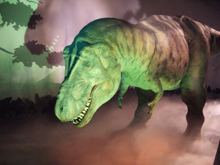 tyrannosaurus-rex-1406939.jpg