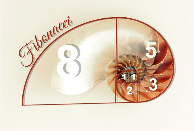 fibonacci-1079783_1920.jpg