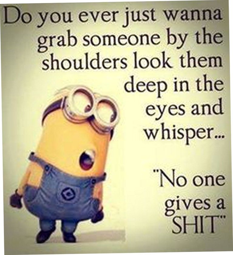 Minion Quotes 01.jpg