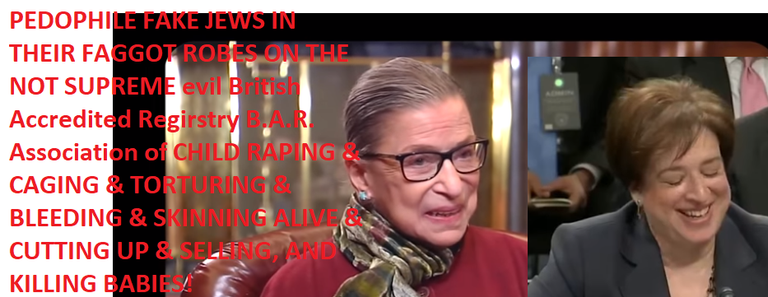 PEDO.B.A.R.LAWYERS.evil.SUPREME.CHILD.PEDOPHILE.DEAD.ALL.WHO.SUPPORT.ANY.LAW.NO.MORE.WE.WILL.YOU.ALL.COPS.YOU.WILL.LAY.DOWN.YOUR.WEAPON.OR.DIE.FAGGOT.WITH.A.FAG.BADGE.png