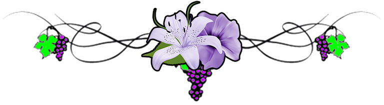 Separator-Grapes-Lily.png