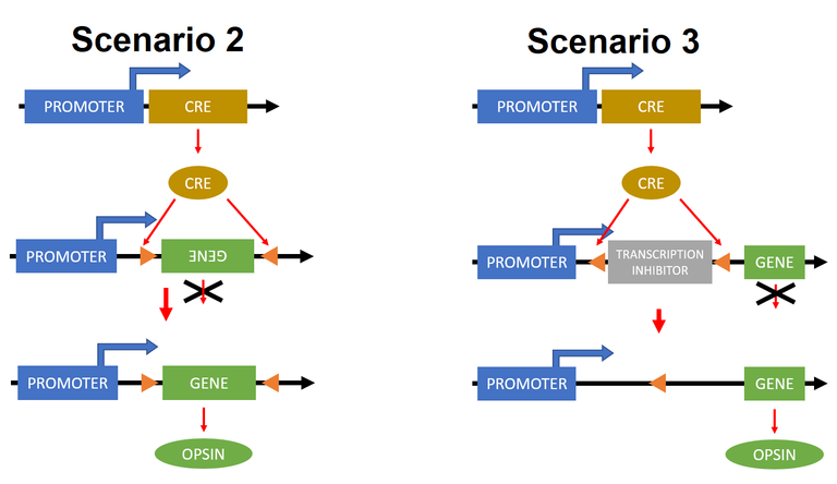 scenario23.png