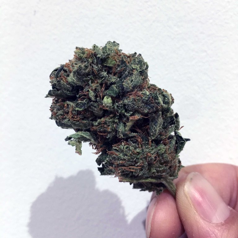 hawaiian-haze-1.jpg