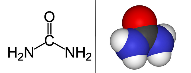 Urea_2D_&_Urea_3D.png