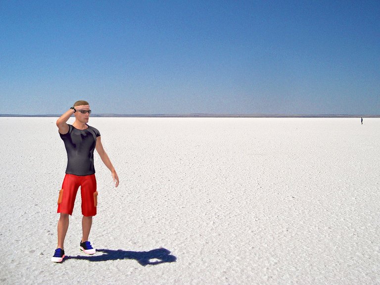 11 - salt desert.jpg