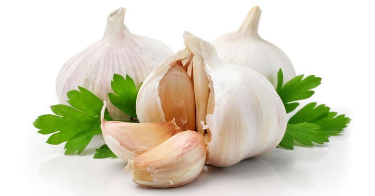 5 garlic.jpg