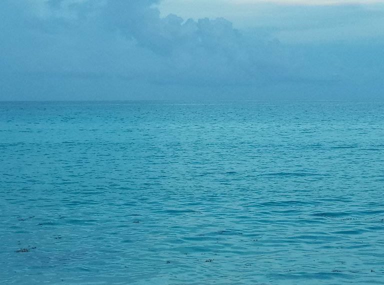 IMAG0469.jpg