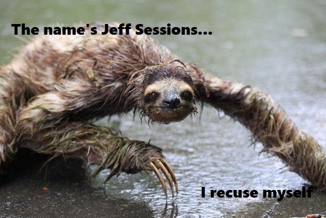jeff.jpg