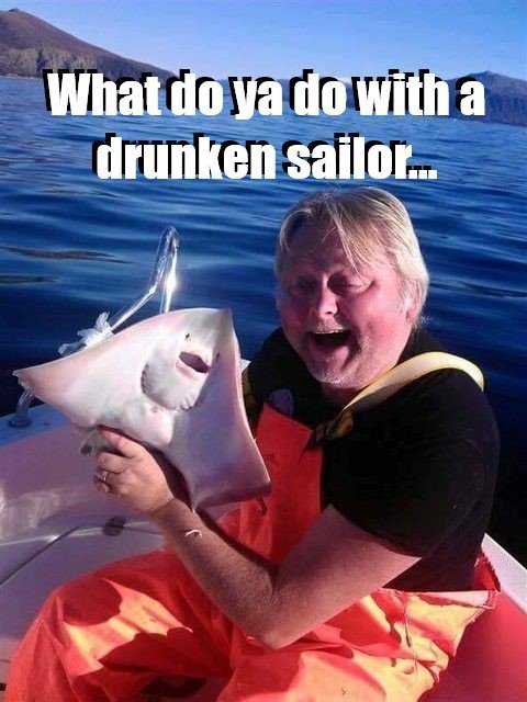 what do ya do with a drunken sailor.jpg