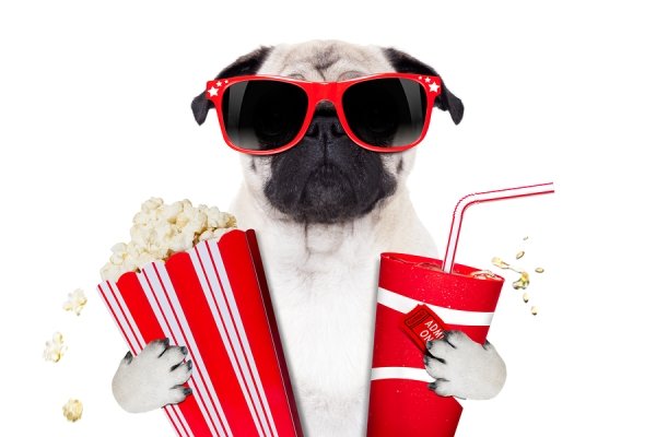 bigstockmoviedog71403670_751892.jpg