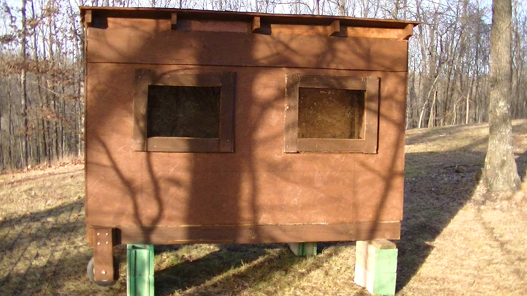 180516-04_first-chicken-coop-01_800x450.png