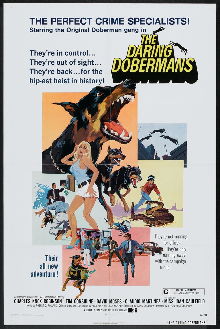 Daring Dobermans 01.jpg