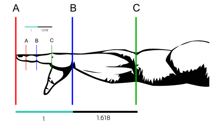 61FEB1DA-5E8D-4BBC-9B0E-6B5ED2433E96.png