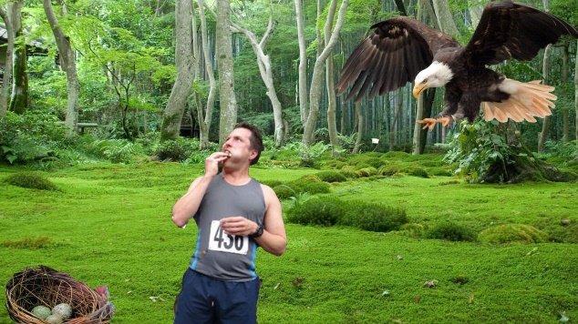 photobomb eagle challenge 1.jpg