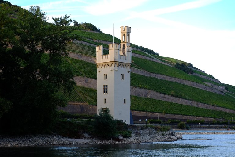 bingen-mauseturm-908993_1920.jpg