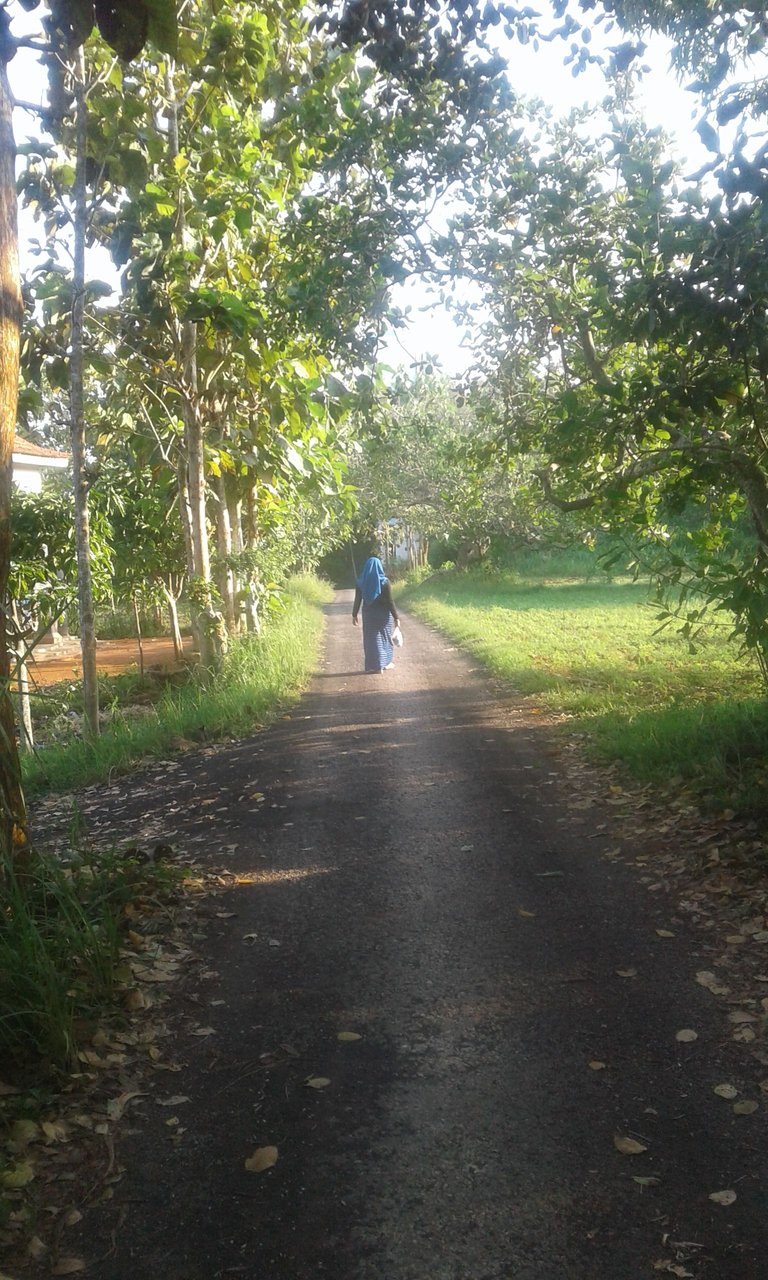 20180508_065208.jpg