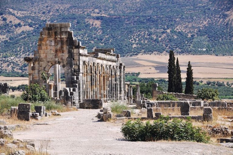 volubilis.jpg