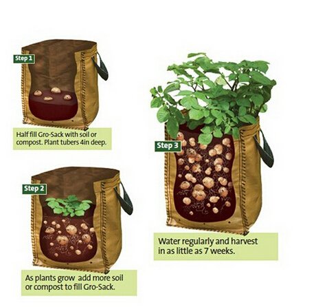 Free-Shipping-PE-Planting-Bag-Home-Gardening-Vegetable-potato-tomato-Grow-Bags-trees-Flower-Pots-Planters.jpg