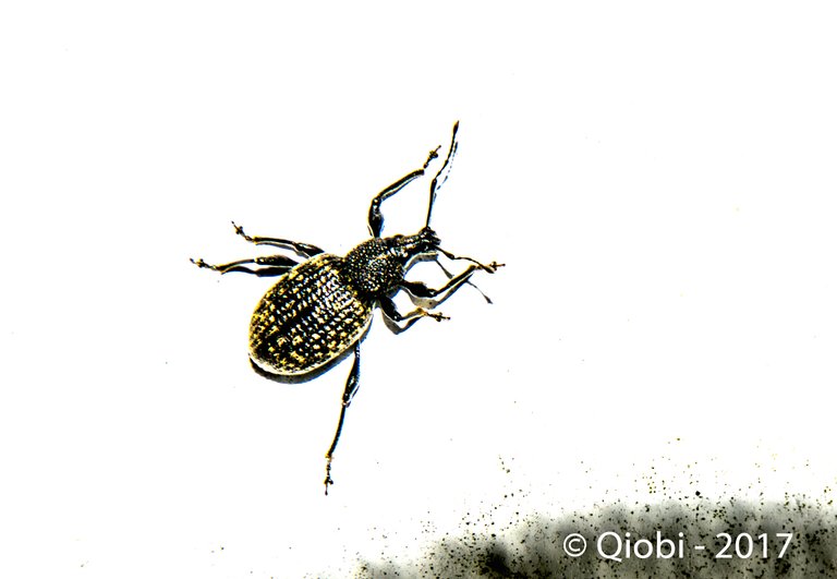 BlogPics (1 of 1).jpg