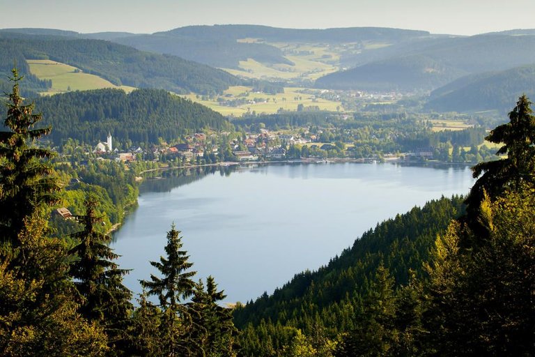 Blick-ueber-den-Titisee_front_large.jpg