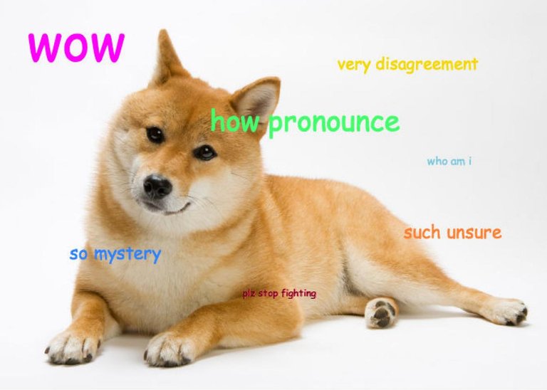 pronounce_doge4.jpg.CROP.promo-xlarge2.jpg