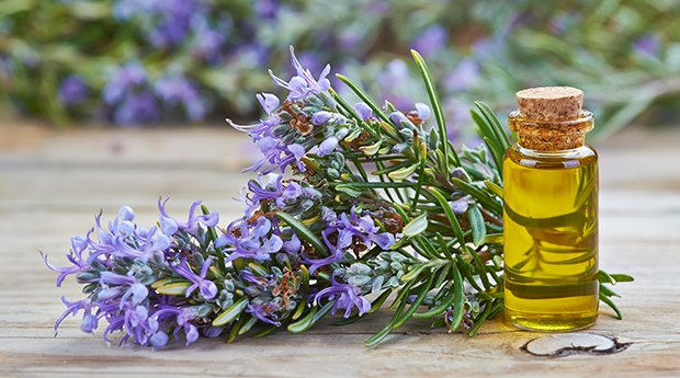 Rosemary-Essential-Oil-Uses.jpg