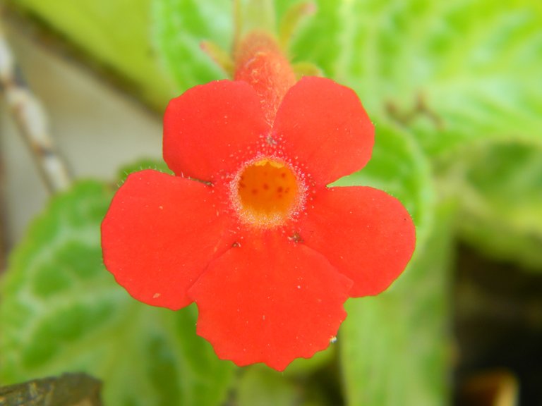 DSCN3200.JPG
