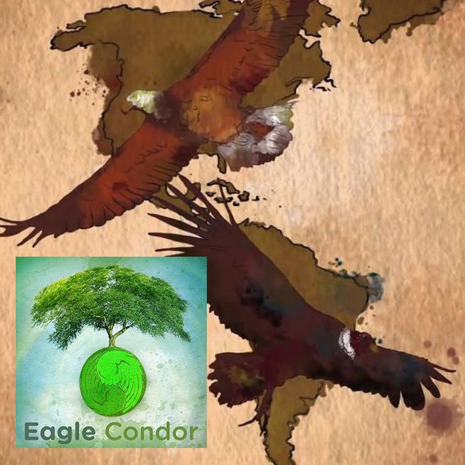 eaglecondor.jpg