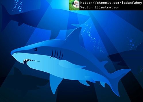 Shark swimming under the sea with sunlight-steemit.jpg