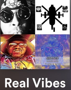 Real Vibes Playlist.jpg