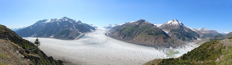 salmon-glacier-1630072_1280.jpg