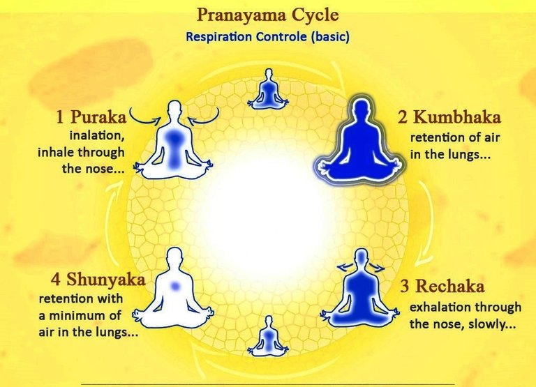 Basic_of_Pranayama_Cycle.jpg