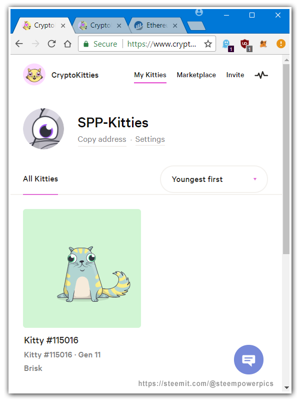 My-CryptoKitty-05-SteemPowerPics.png