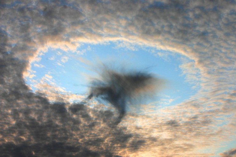 Fallstreak hole over Austria, August 2008.jpg